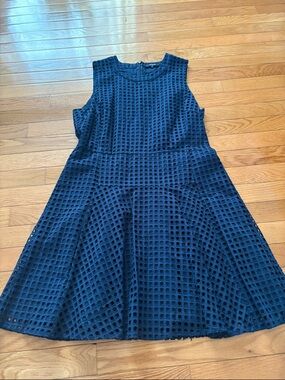 Madewell Navy Sleeveless Fit-and-Flare Dress
